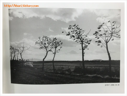 24245C33597DC414237CEC