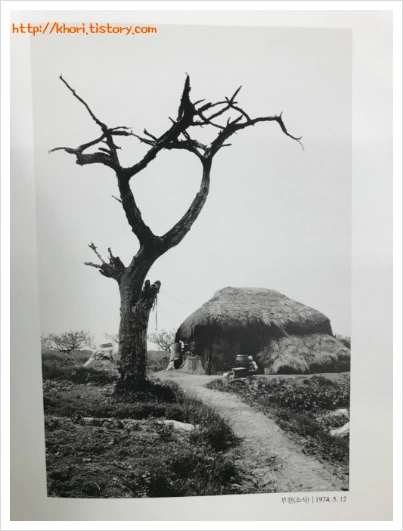 21729E33597DC4122EE6D9