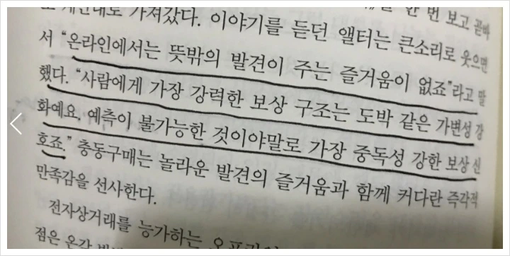 9954AD3A5A90B0C608DD5A