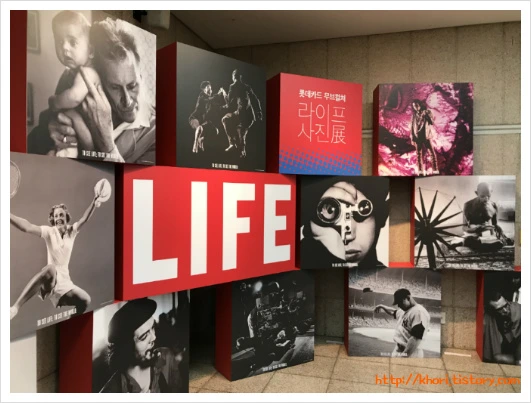 24DE8633597C9485138ACF