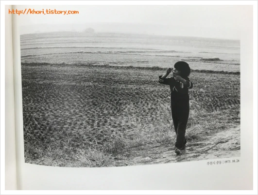 24C49A33597DC4131750EB