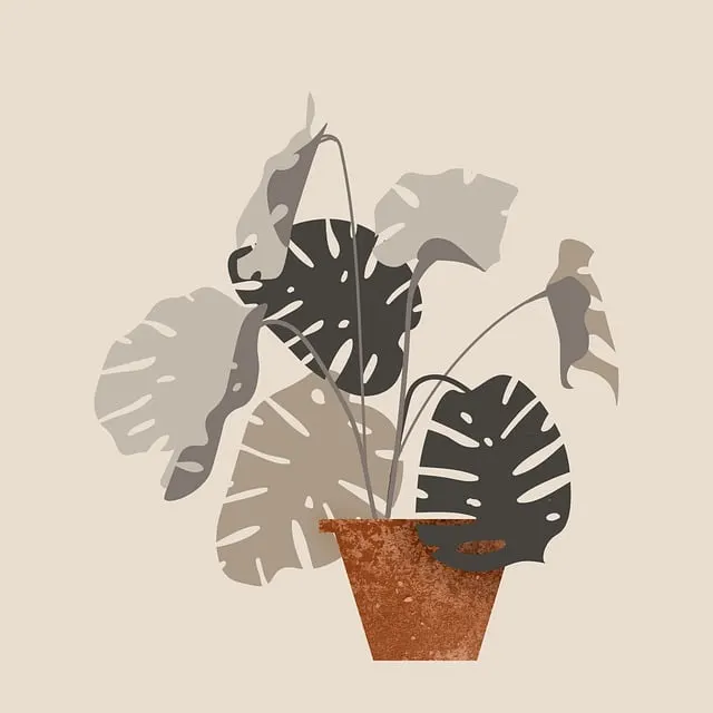 monstera-gc5938cf4c_640.jpg?type=w1