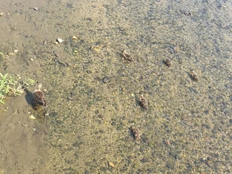 IMG_6956.JPG?type=w2