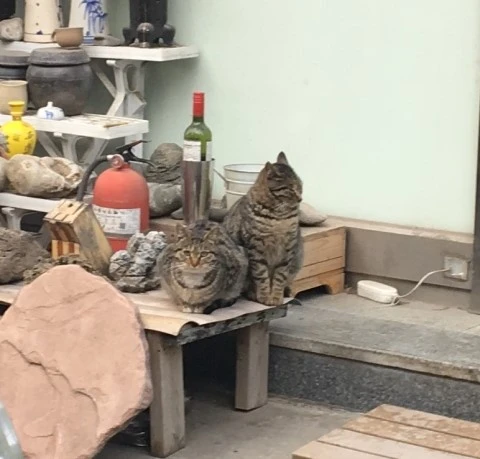 IMG_0097.jpg?type=w2