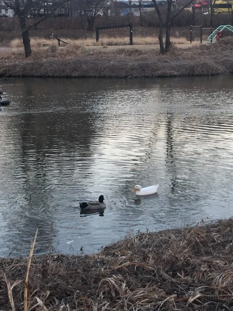 IMG_5614.JPG?type=w2