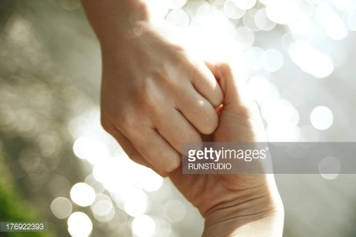 176922393.jpg?type=w2