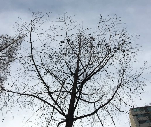 IMG_1220.JPG?type=w2