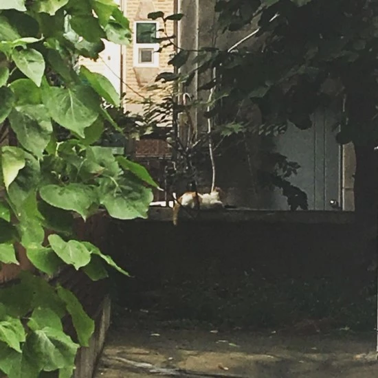 KakaoTalk_20180829_085356905.jpg?type=w2