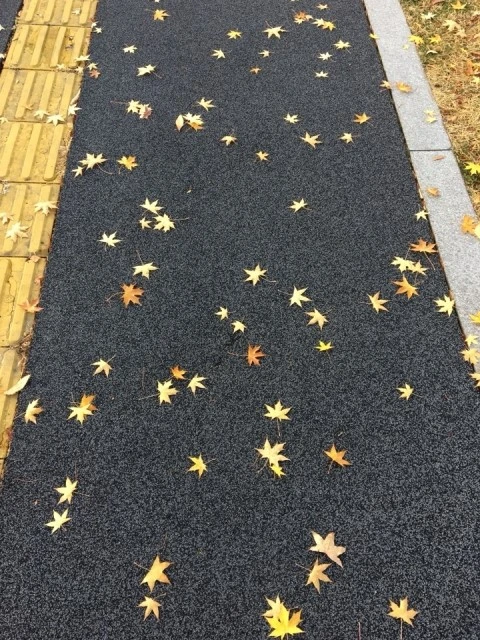 KakaoTalk_20171114_105355628.jpg?type=w2