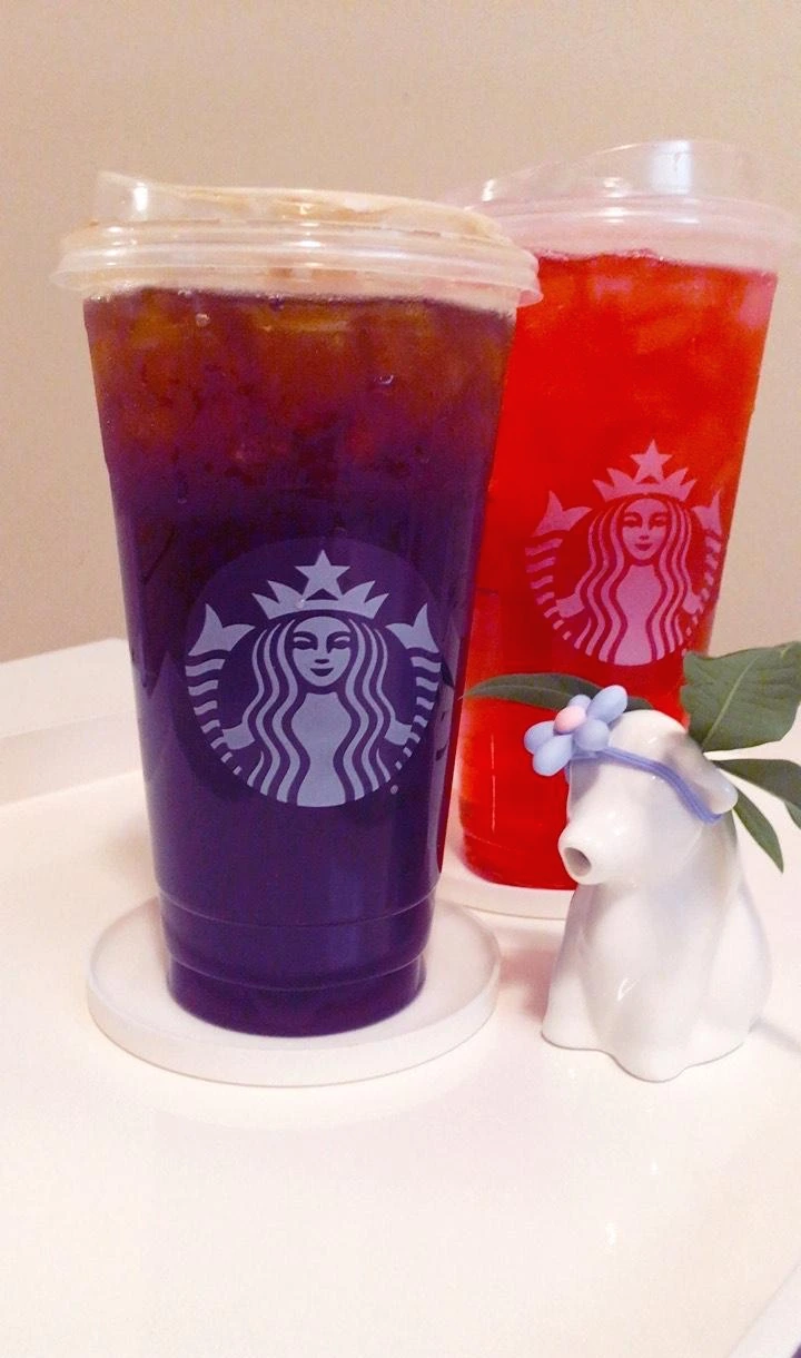 image_6483441 (29).JPG