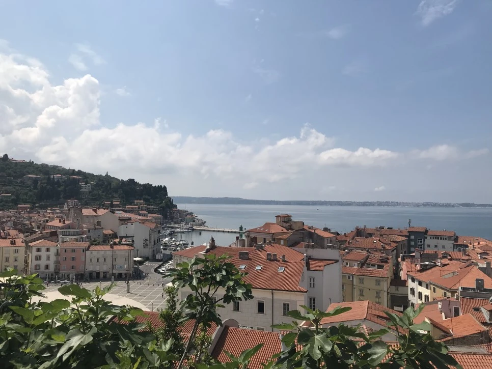 IMG_1209.JPG?type=w966