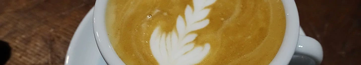 243DD33556659B773BA41B