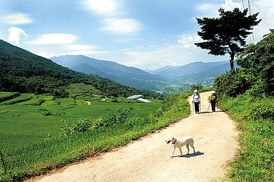 %EC%A7%80%EB%A6%AC%EC%82%B0%EB%91%98%EB%A0%88%EA%B8%B8.jpg?type=w773