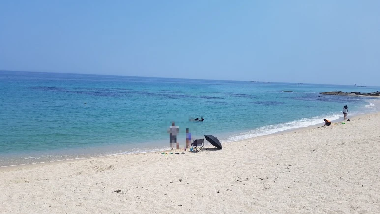 SE-236cecb1-a0e8-4b5d-979f-dea053646047.jpg?type=w773