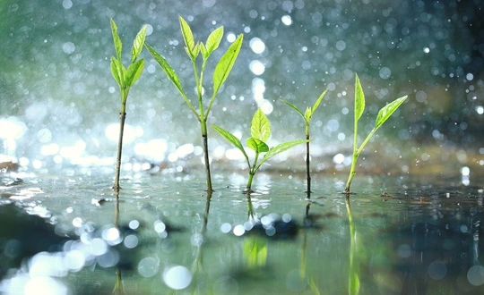 %EB%B4%84%EB%B9%84.jpg?type=w773