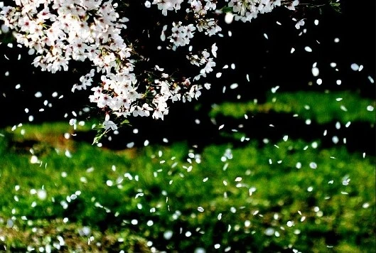 %EC%9E%91%ED%99%94.jpg?type=w773