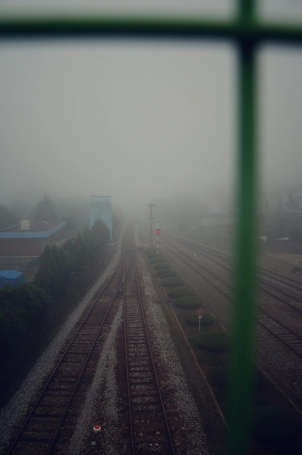 DSC_7835 사본.JPG