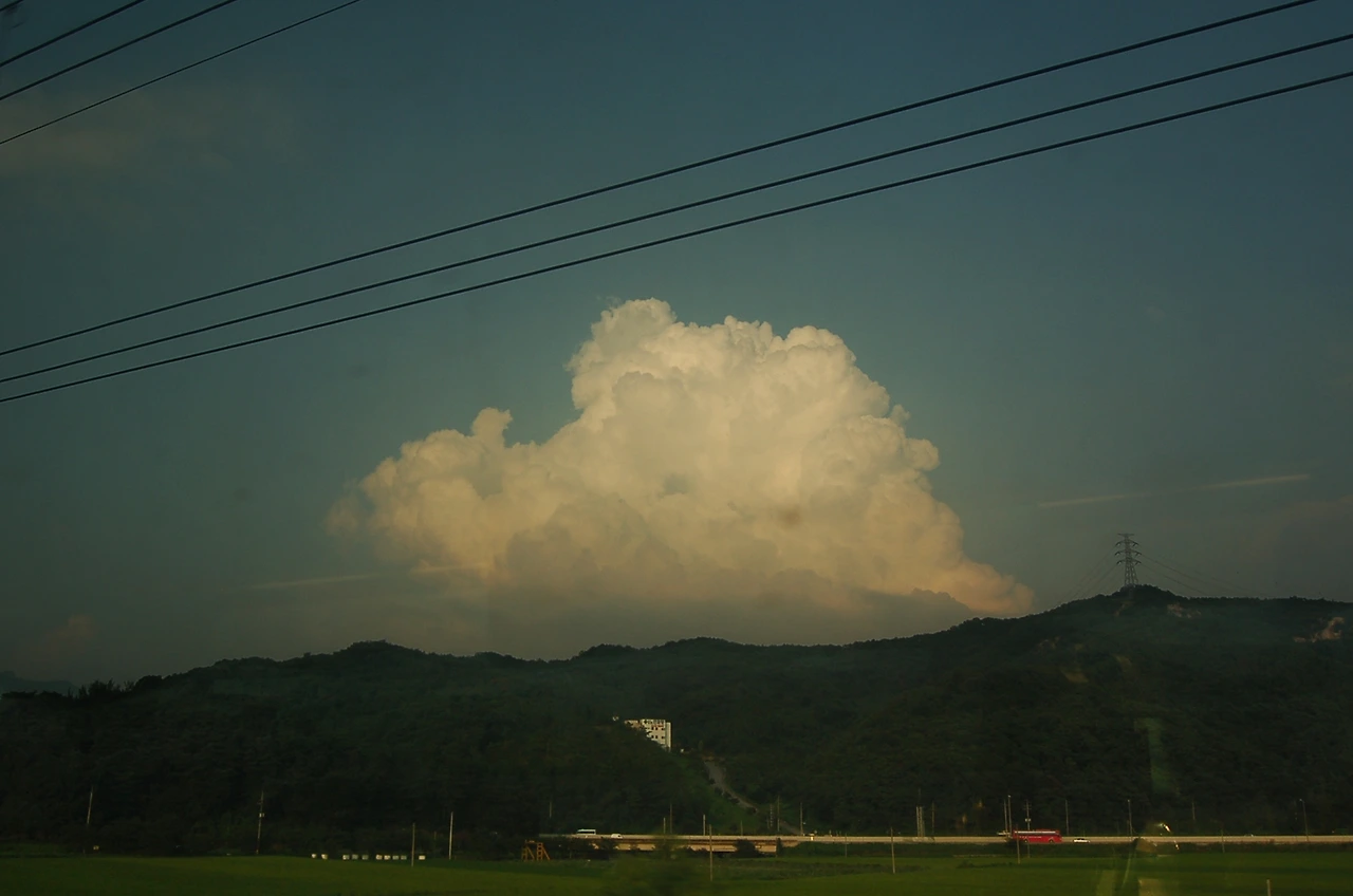 DSC_8425 사본.JPG