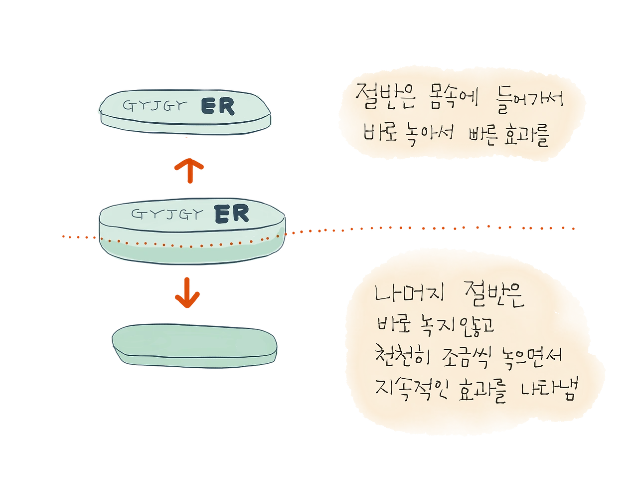 제형1_3.PNG