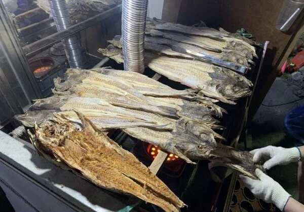 11662_12632_3519 (1).jpeg