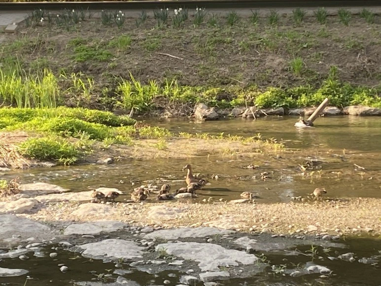 IMG_1951.jpg?type=w773