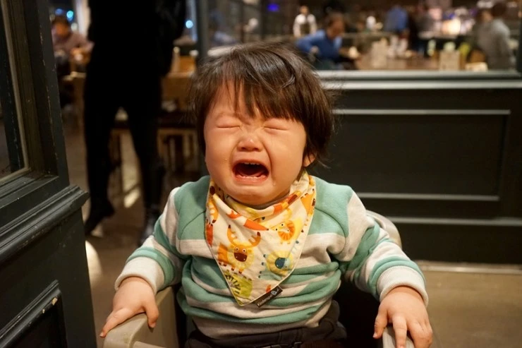 DSC05213-01.jpg?type=w2