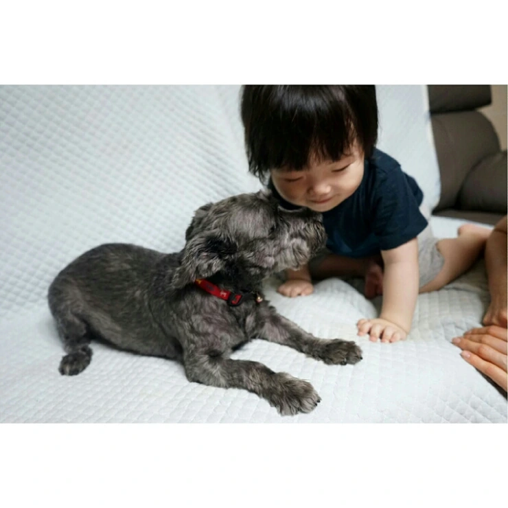 IMG_20150616_062220.jpg?type=w2