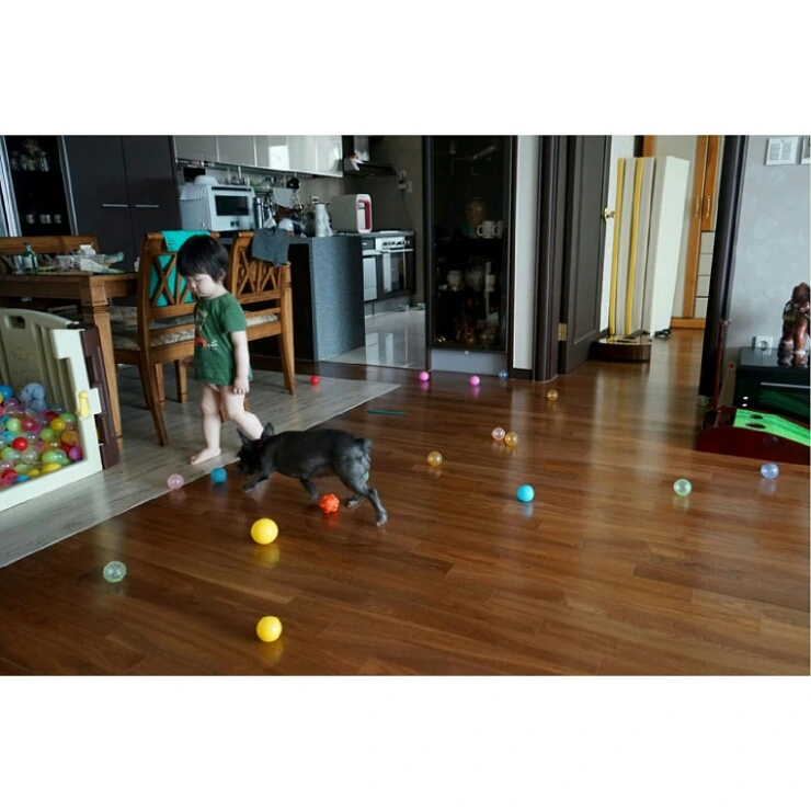 IMG_20150616_062004.jpg?type=w2