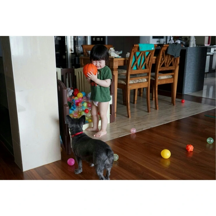 IMG_20150616_062054.jpg?type=w2