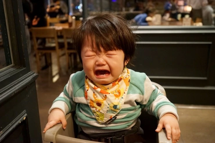 DSC05215-01.jpg?type=w2