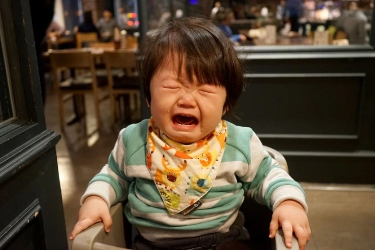 DSC05212-01.jpg?type=w2