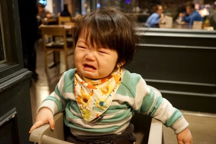 DSC05206-01.jpg?type=w2