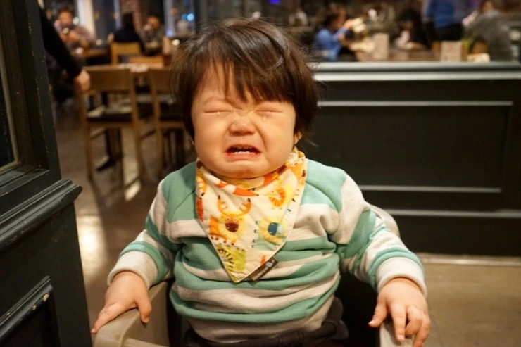 DSC05208-01.jpg?type=w2