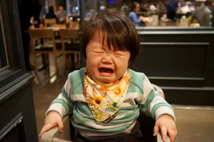 DSC05211-01.jpg?type=w2