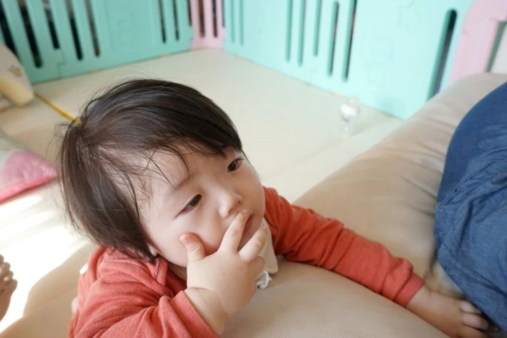 DSC05003-01.jpg?type=w2