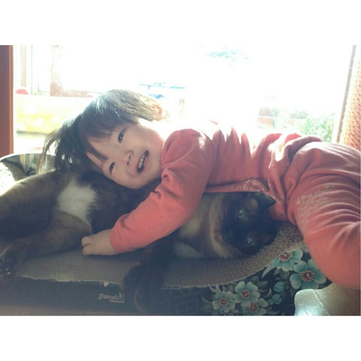 IMG_20150906_030425.jpg?type=w2