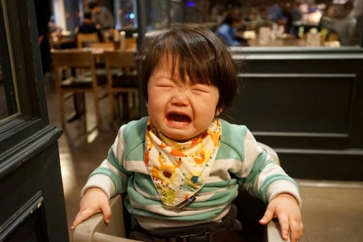 DSC05214-01.jpg?type=w2