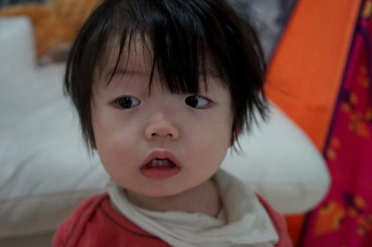 DSC05069-01.jpg?type=w2