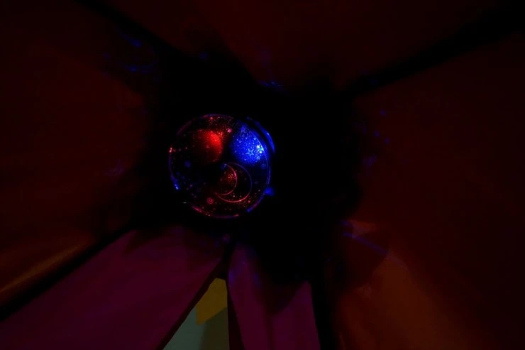 DSC03711-01.jpg?type=w2