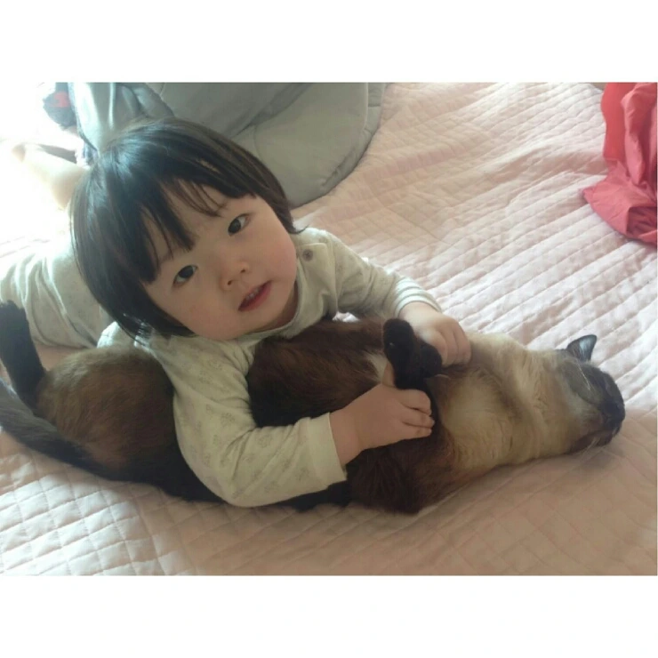 IMG_20150906_030537.jpg?type=w2