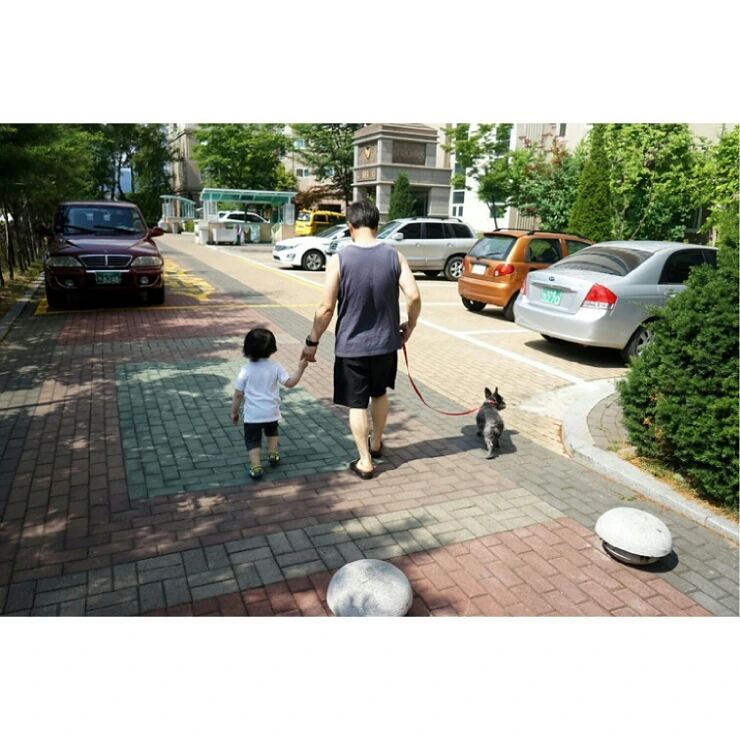 IMG_20150617_233201.jpg?type=w2