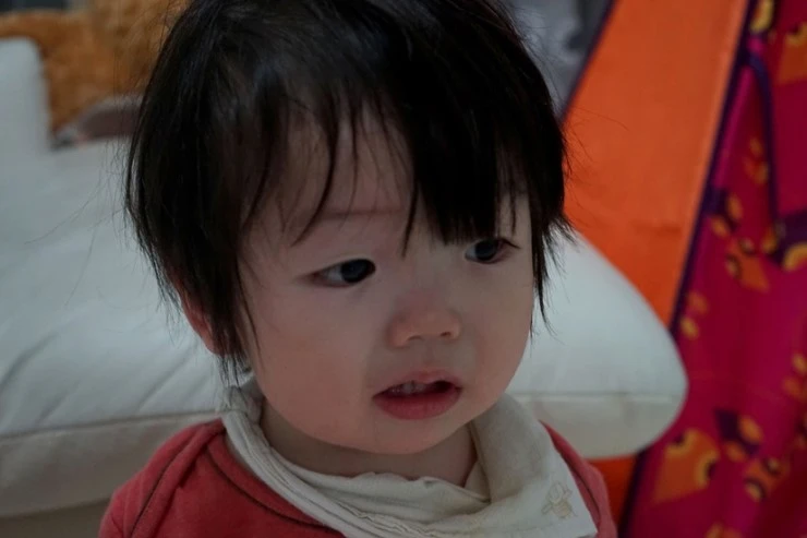 DSC05070-01.jpg?type=w2