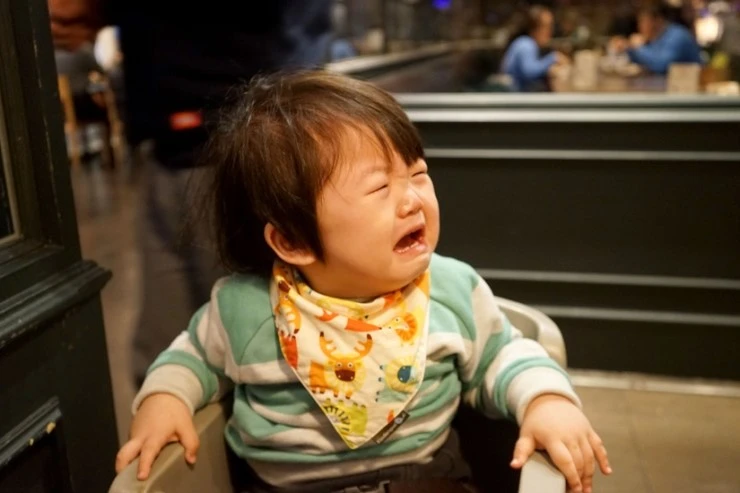 DSC05204-01.jpg?type=w2