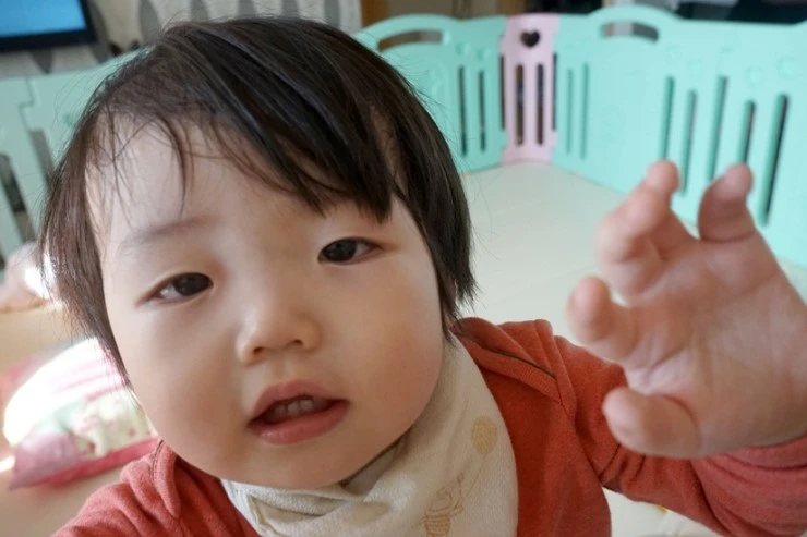 DSC05008-01.jpg?type=w2