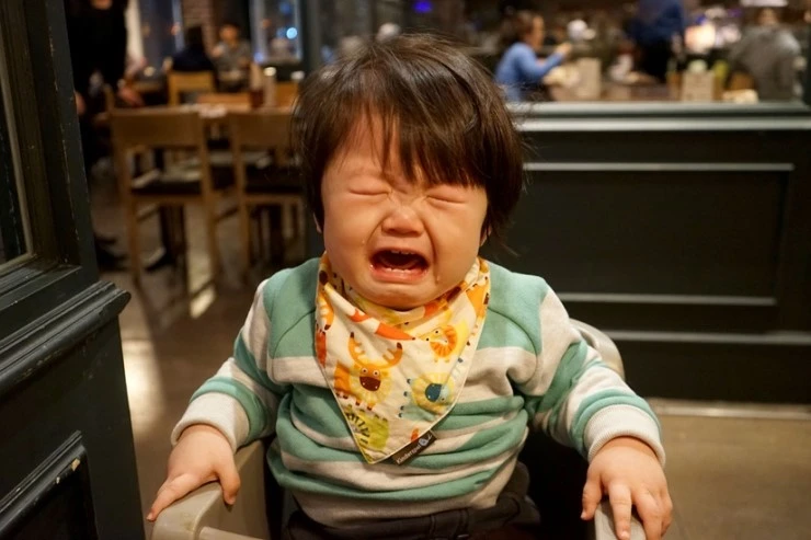 DSC05210-01.jpg?type=w2