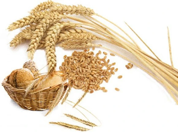 994D513359EE6A621AD4E3