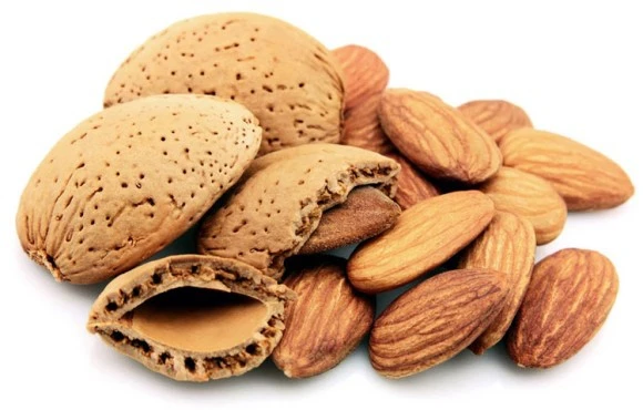 995E2A3359EE6A6C093F48