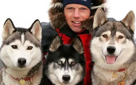 2736C741574624E208D519