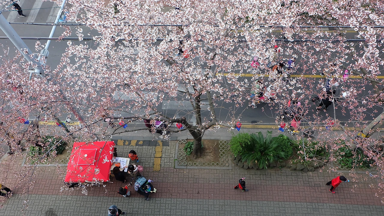 SM 20150328 (105).JPG