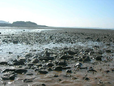 DSCN7883.jpg?type=w2